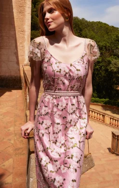 ANNA'S HUMMINGBIRD DRESS