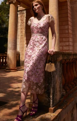 ANNA'S HUMMINGBIRD DRESS