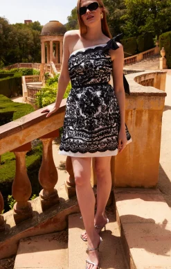 CHICKADEE MINI DRESS