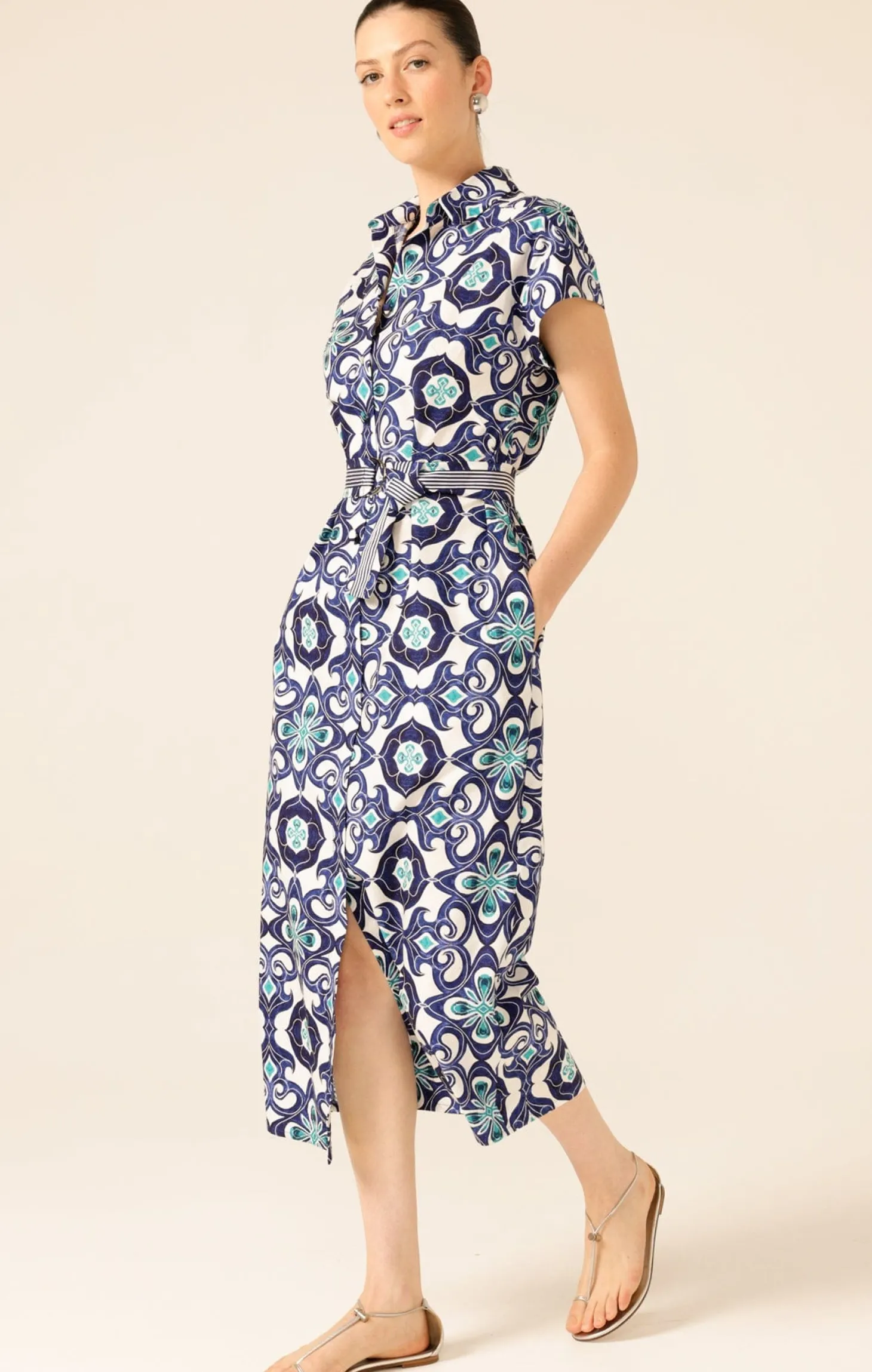 TREE SWALLOW SHIRTMAKER DRESS