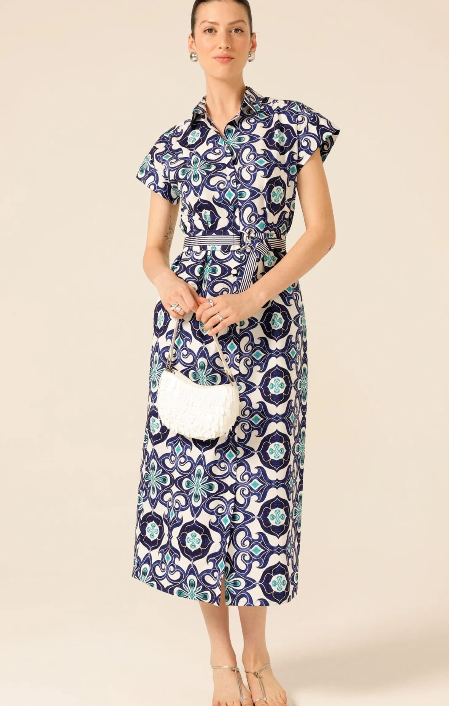 TREE SWALLOW SHIRTMAKER DRESS